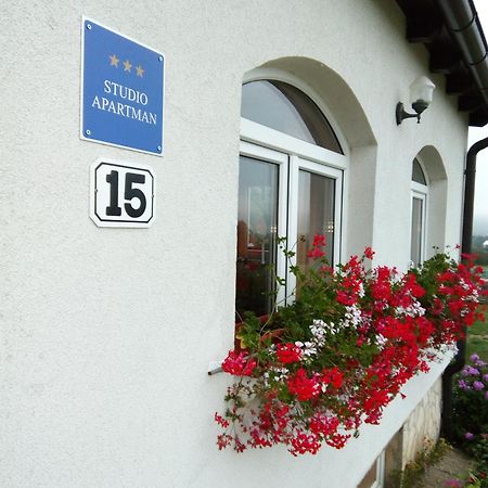 Apartments Zegarac House Korenica Exterior photo