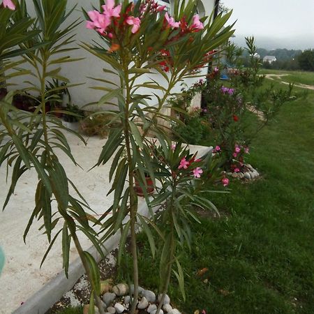 Apartments Zegarac House Korenica Exterior photo